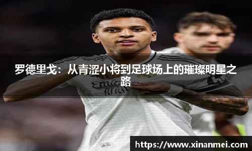 米乐yy易游体育
